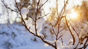 След снега, идва "кукерският" студ с до -15 градуса