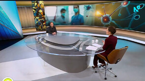 Проф. Кюркчиев: Имунната система има нужда от баланс, не от стимуланти