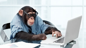 Шимпанзето гений Ай почина в Япония на 49 години