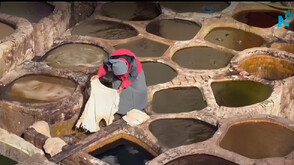 Сред багри и традиции: Как кожата се обработва по вековни методи в Мароко