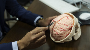 Как мозъкът може да „изключи“ болката – науката зад удивителния механизъм