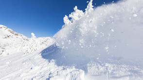 Лавини убиха осем скиори в Австрийските Алпи