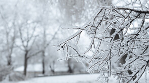 Седмицата започва с ледено време