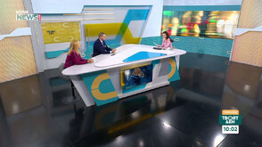 "Икономическа безумица“: Експерти с остра критика към контрола на цените