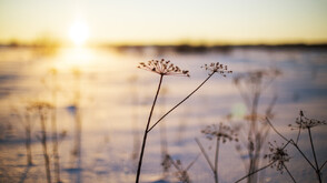 Очаква ни осезаемо затопляне в края на януари