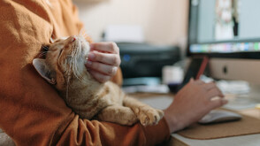 Защо котките хапят краката на стопаните си и как да спрем това поведение