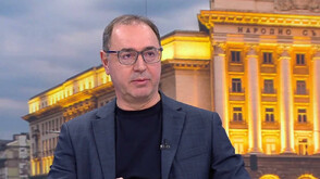 Докторът, лекувал първия случай на чикунгуня у нас: Инфекцията не е безобидна