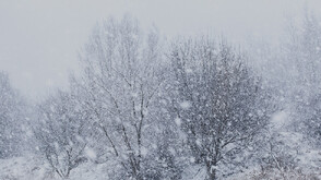Оранжев и жълт код за обилен снеговалеж и виелици в цялата страна
