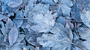 Жълт код за студено време и снеговалежи в почти цялата страна