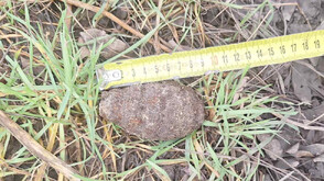 Обезвредиха ръчна граната, открита в Бургас