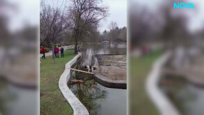 Трогателен клип за спасяването на две кучета развълнува социалните мрежи