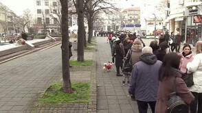 Инициативата „Гората.бг” раздава 55 000 дръвчета в Бургас, Сливен и Ямбол