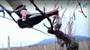 „Нищо лично”: От американската мечта до корените на лозата (ВИДЕО)