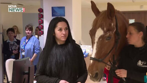 Терапевтичен кон донесе надежда в онкологичното отделение на столична болница