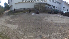 Записи от камерите в хижа „Петрохан” показват как членовете на групата се кланят на Калушев