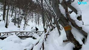 "Дотам и обратно": Леденото лице на водопадите през зимата (ВИДЕО)