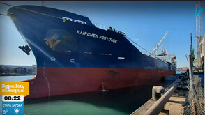 200 000 тона слънчоглед от Аржентина пътуват към България: Зърнопроизводителите алармират за рискове