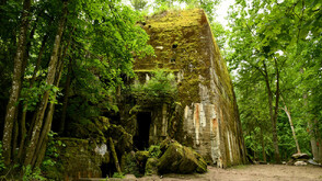Операция "Валкирия" и Вълчата бърлога - скритият горски щаб на Хитлер