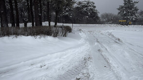 Валежите този февруари са били сред най-обилните от началото на века