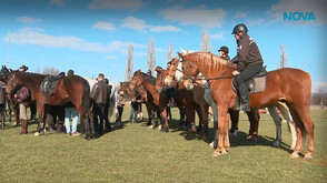 70 години от създаването на конната полиция (ВИДЕО)