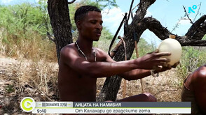 „Непознатите земи” в Намибия: От тайните на бушмените до загадката на „Бялата дама” (ВИДЕО)