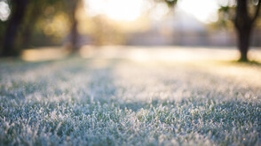 Предстои дълъг период с усещане за ранна пролет