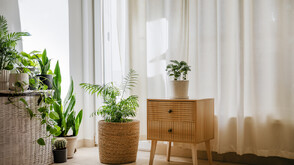 „Живей красиво”: Как да изберем перфектните завеси за дома