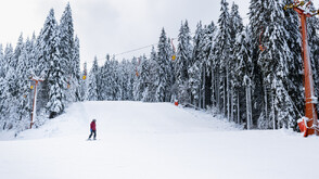 Безопасността на пистите: Могат ли да бъдат предотвратени инцидентите