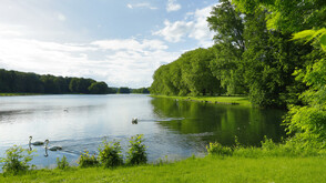 Учени алармират: Езерата по света са застрашени от нашествие на едри животни