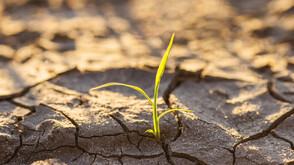 Светът може да достигне ключови климатични прагове по-рано от очакваното, сочи проучване