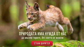 Природата има нужда от нас – юбилейна кампания на WWF ни призовава да я пазим