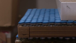 СДВР задържа анаболни стероиди, подготвени за износ в Нидерландия