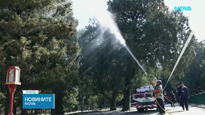 Пекин започна мащабна кампания срещу пролетния полен (ВИДЕО)