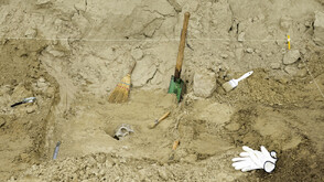 Защо първото двуного човекоподобно се е „изправило” на Балканите?