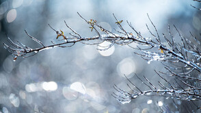 Застудяването се връща през следващата седмица