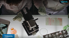 „Темата на NOVA”: Път през хаоса