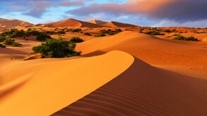Сахара някога е била зелена: Ново изследване разкрива древен влажен период