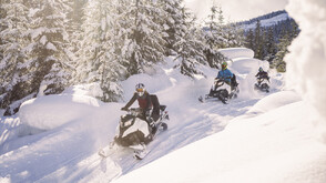 Хванаха нарушители с моторни шейни и мотоциклети в три национални парка
