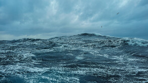 Морето у нас изхвърли два трупа, единият на гола жена