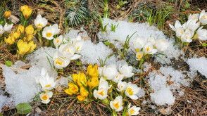 С какво време ще изпратим месец март