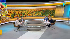 Спор за слънчогледа от Аржентина: Защо се стигна до раздор между производители и преработватели у нас?