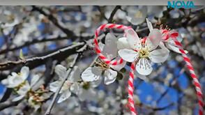 Еко инициатива в Хасково събира стари мартеници за рециклиране