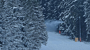 Откриха четирима младежи, затънали с автомобил в района на хижа „Марица“