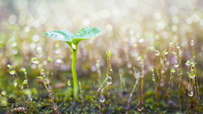 Предстои рязък обрат във времето с валежи от дъжд и сняг