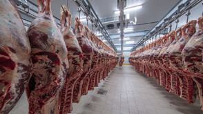 Разкриха незаконни кланици в Кърджалийско: Тонове месо са излезли без контрол