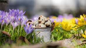 Какво време ни очаква през април