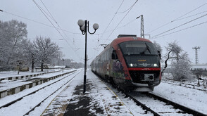 Заради паднало дърво спряха влак между гарите Мирково и Столник