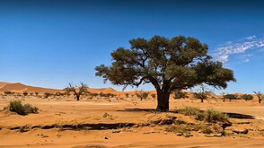 "Непознатите земи": Намибия - земя от пясък и цветове (ВИДЕО)