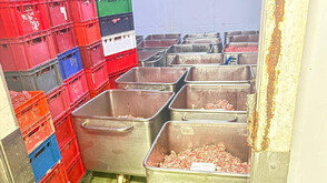 БАБХ откри близо 6 тона негодни храни в Димитровград