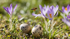 Циклони, дъжд и слънце - какво време ни очаква до Великден?
